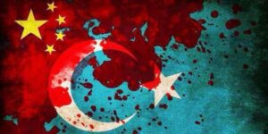 273367830 4729913170378507 7626413797870655145 N 300x150